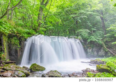 青森県十和田市　夏の奥入瀬渓流　銚子の滝 108608907