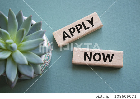 Apply now symbol. Concept word Apply now on wooden blocks. Beautiful grey green background with sycculent plant. Business and Apply now concept. Copy space 108609071
