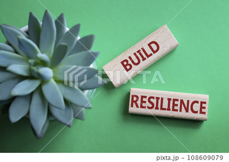 Build resilience symbol. Wooden blocks with words Build resilience. Beautiful green background with succulent plant. Business and Build resilience concept. Copy space. Build resilience symbol. Wooden blocks with words Build resilience. Beautiful green background with succulent plant. Business and Build resilience concept. Copy space. 108609079