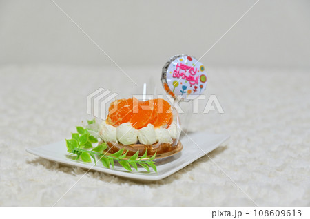 犬用の誕生日ケーキ みかんのケーキ 犬用の誕生日ケーキ みかんのケーキ 108609613