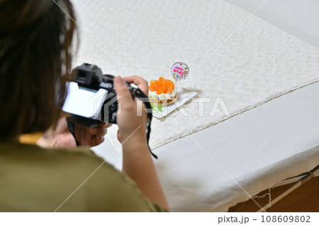 犬用の誕生日ケーキを撮影する女性 108609802