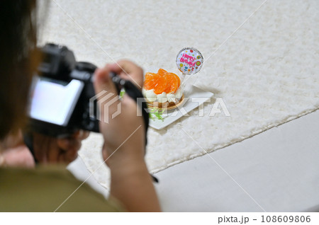 犬用の誕生日ケーキを撮影する女性 108609806