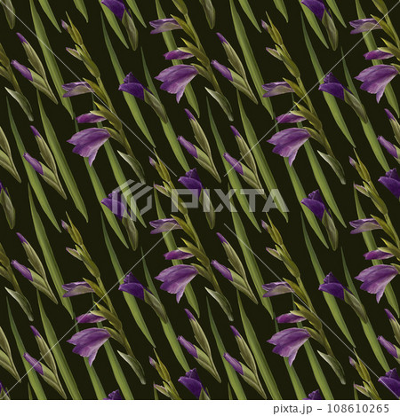 Watercolor gladioluses plant seamless pattern, hand drawn floral illustration of violet flowers buds and leaves. Isolated, dark background.Repeating design for print, wallpaper, wrapping paper textile Watercolor gladioluses plant seamless pattern, hand drawn floral illustration of violet flowers buds and leaves. Isolated, dark background.Repeating design for print, wallpaper, wrapping paper textile 108610265