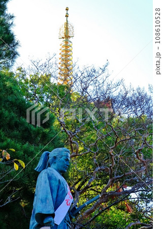 土方歳三像と五重塔 土方歳三像と五重塔 108610528