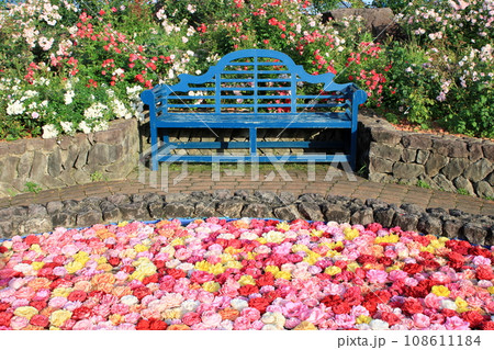 花に囲まれたベンチ 108611184