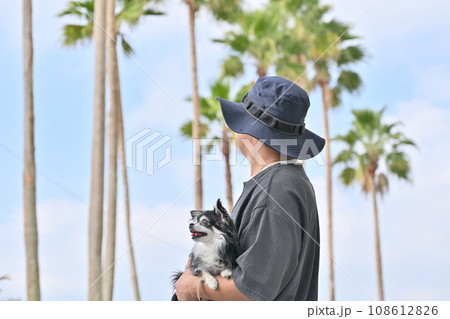 チワワを抱っこ散歩する飼い主の男性 南国リゾートイメージ チワワを抱っこ散歩する飼い主の男性 南国リゾートイメージ 108612826