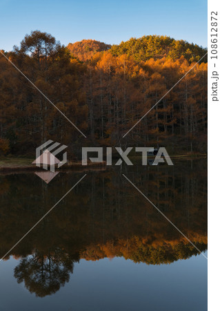 晩秋湖畔のキャンプ場 108612872