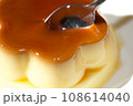 プリンのアップとスプーン 108614040