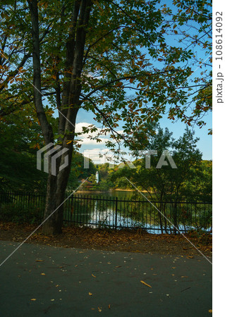 秋の宮沢湖 108614092