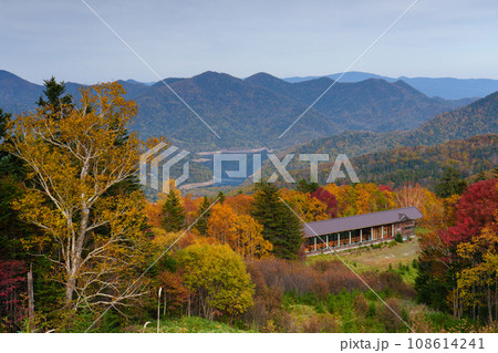 糠平スキー場 然別湖への幌鹿峠の紅葉 北海道観光 108614241