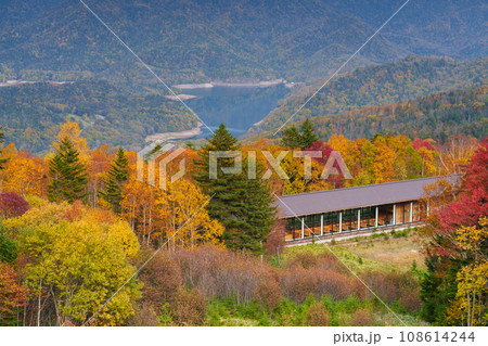 糠平スキー場 然別湖への幌鹿峠の紅葉 北海道観光 糠平スキー場 然別湖への幌鹿峠の紅葉 北海道観光 108614244