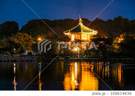 東京都台東区 夜の上野公園 不忍池辯天堂 108614636