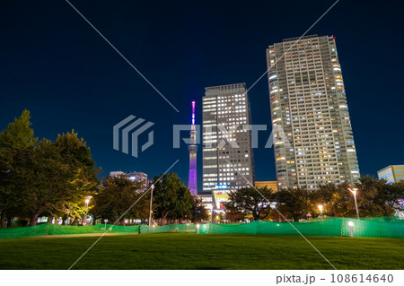 東京都墨田区 夜の錦糸公園 東京都墨田区 夜の錦糸公園 108614640