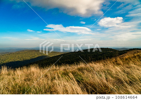 Polonina Wetlinska, Bieszczady mountain, Bieszczady National Park, Poland. 108614664