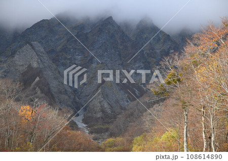 晩秋の森林と大山南壁 晩秋の森林と大山南壁 108614890