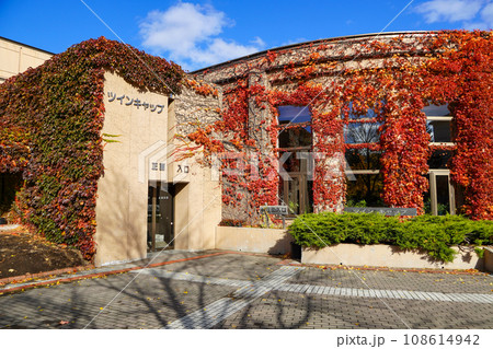 農試公園・秋のツインキャップ 108614942