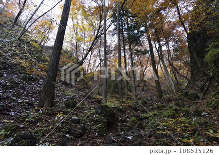岩櫃山、登山、群馬県 108615126