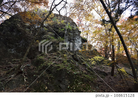 岩櫃山、登山、群馬県 108615128