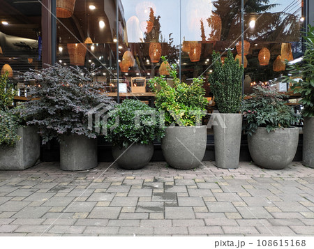 Set of decorative in pots with plants Set of decorative in pots with plants 108615168