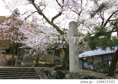 熊川宿　宿場町　若狭鯖街道熊川宿　鯖街道　若狭　福井県若狭町熊川　福井県三方上中郡　旧鯖街道　 108615581