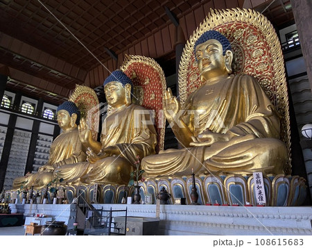 巨大な大仏が鎮座する寺院 巨大な大仏が鎮座する寺院 108615683