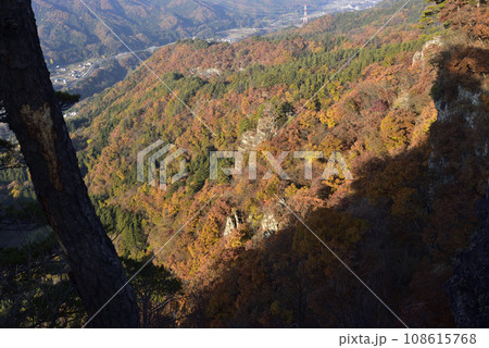 岩櫃山、登山、群馬県 岩櫃山、登山、群馬県 108615768