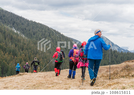 Diverse hikers with backpacks and nordic walking sticks 108615811