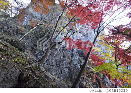 岩櫃山、登山、群馬県 108616230