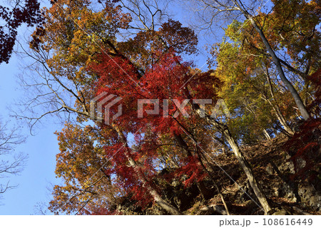 岩櫃山、登山、群馬県 108616449