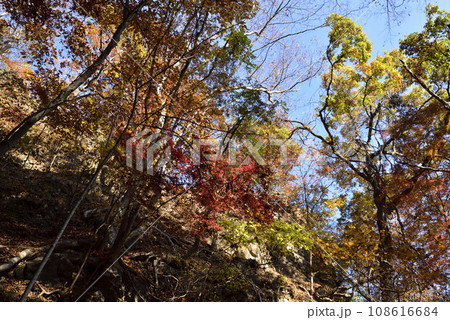 岩櫃山、登山、群馬県 108616684
