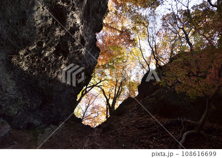 岩櫃山、登山、群馬県 108616699