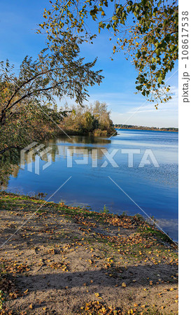 Autumn river bank. Yellow money in the trees, footprints in the sand. Crows in the trees. 108617538