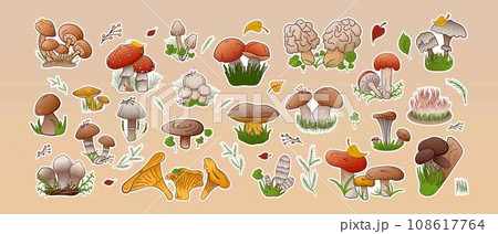 Vector set stickers forest mushrooms. Collection different types mushrooms edible and inedible. Vector set stickers forest mushrooms. Collection different types mushrooms edible and inedible. 108617764