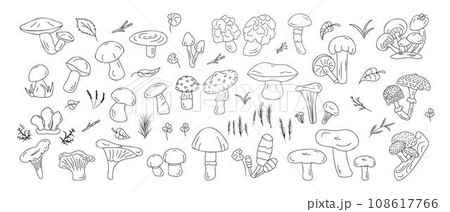 Vector black line icons forest mushrooms edible and inedible different types. Forest herbs, leaves. Vector black line icons forest mushrooms edible and inedible different types. Forest herbs, leaves. 108617766