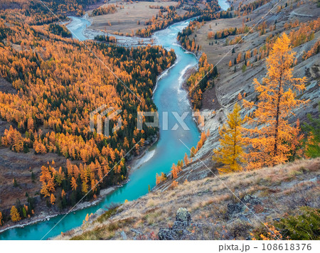 Colorful autumn landscape with golden leaves on trees along wide turquoise mountain river in misty morning. Awesome alpine scenery with big mountain river in gold autumn colors in fall time. Colorful autumn landscape with golden leaves on trees along wide turquoise mountain river in misty morning. Awesome alpine scenery with big mountain river in gold autumn colors in fall time. 108618376