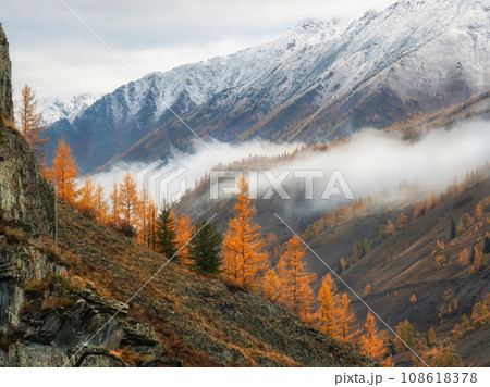Diagonal stony steep slope and forest in dense fog. Stone hillsi Diagonal stony steep slope and forest in dense fog. Stone hillsi 108618378
