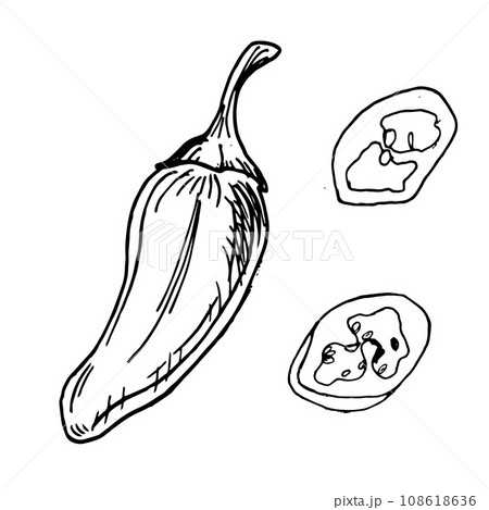 Jalapeno green hot peppers vector illustration isolated on white background. Piece of pepper hand drawn ink. Hot pepper black white graphic. Design element for wrapping, menu, market, package Jalapeno green hot peppers vector illustration isolated on white background. Piece of pepper hand drawn ink. Hot pepper black white graphic. Design element for wrapping, menu, market, package 108618636