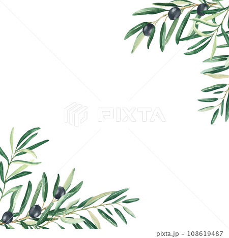 Olive tree square frame, border. Black olives and branches corners. Hand drawn watercolor botanical illustration isolated on white background. Can be used for cards, logos and food design. 108619487