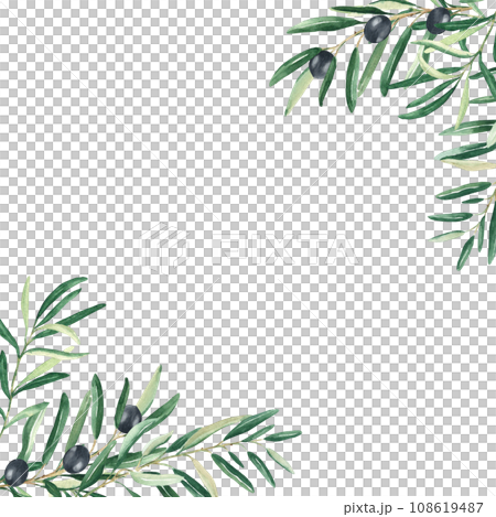 Olive tree square frame, border. Black olives and branches corners. Hand drawn watercolor botanical illustration isolated on white background. Can be used for cards, logos and food design. 108619487