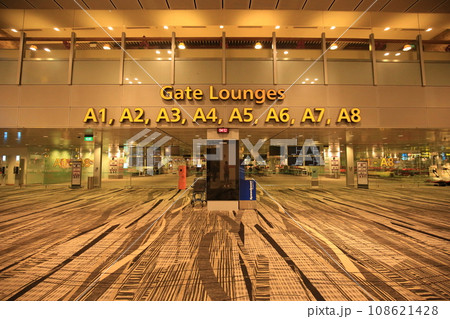夜のシンガポール・チャンギ国際空港 第3ターミナル （シンガポール） 108621428