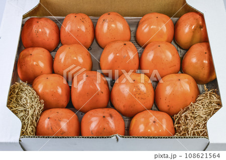 甲州百目(富士柿) 甲州百目(富士柿) 108621564