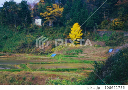 今秋は里山に行こう 108621786
