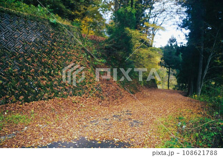 今秋は里山に行こう 108621788