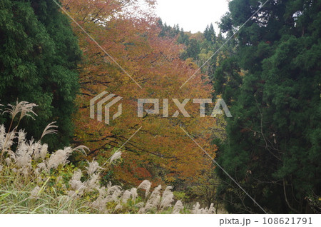 今秋は里山に行こう 108621791