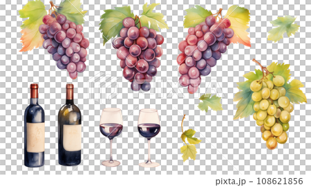 葡萄和葡萄酒的水彩風格透明插圖 108621856