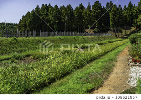 上越 春日山城史跡広場 土塁 新潟県上越市 上越 春日山城史跡広場 土塁 新潟県上越市 108621957