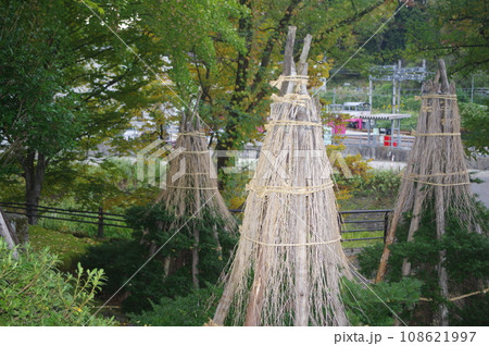 今秋は里山に行こう 108621997