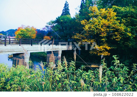 今秋は里山に行こう 108622022