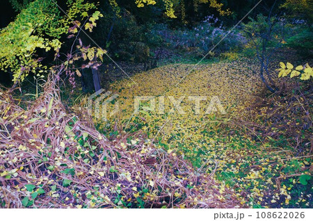 今秋は里山に行こう 108622026