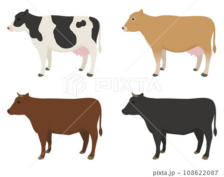 牛のイラストセット 牛のイラストセット 108622087